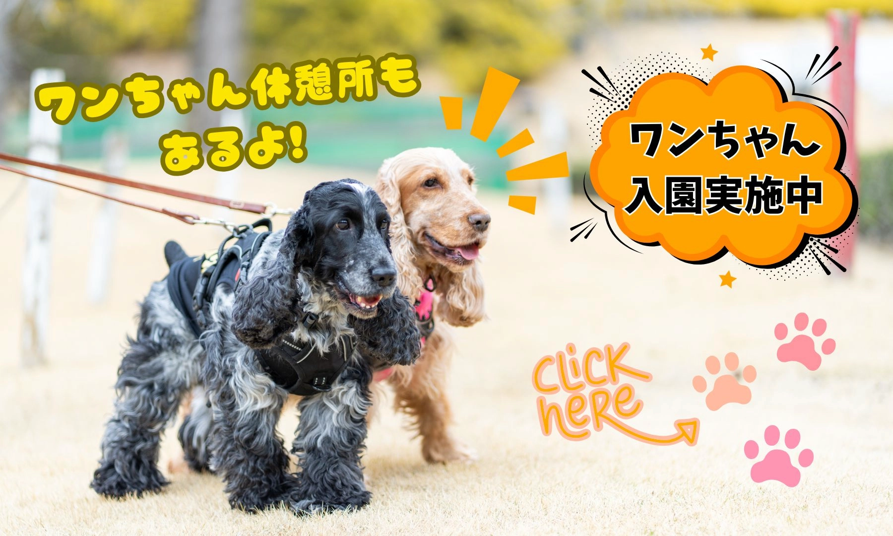 ワンちゃん入園実施中