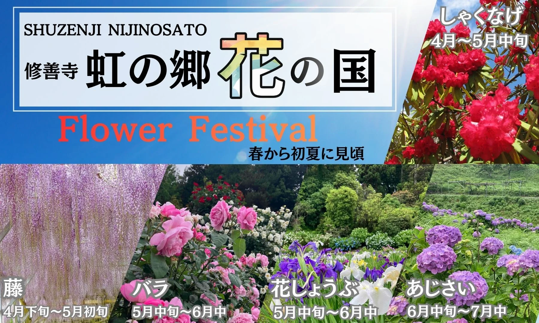 修善寺虹の郷花の国Flower Festival開催