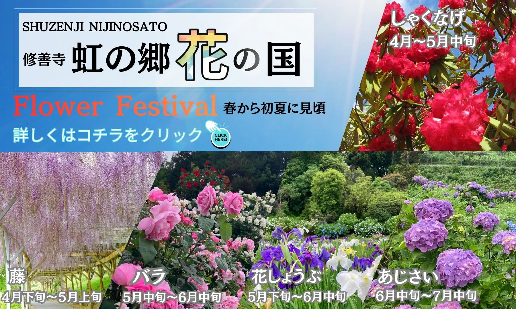 修善寺虹の郷花の国Flower Festival開催