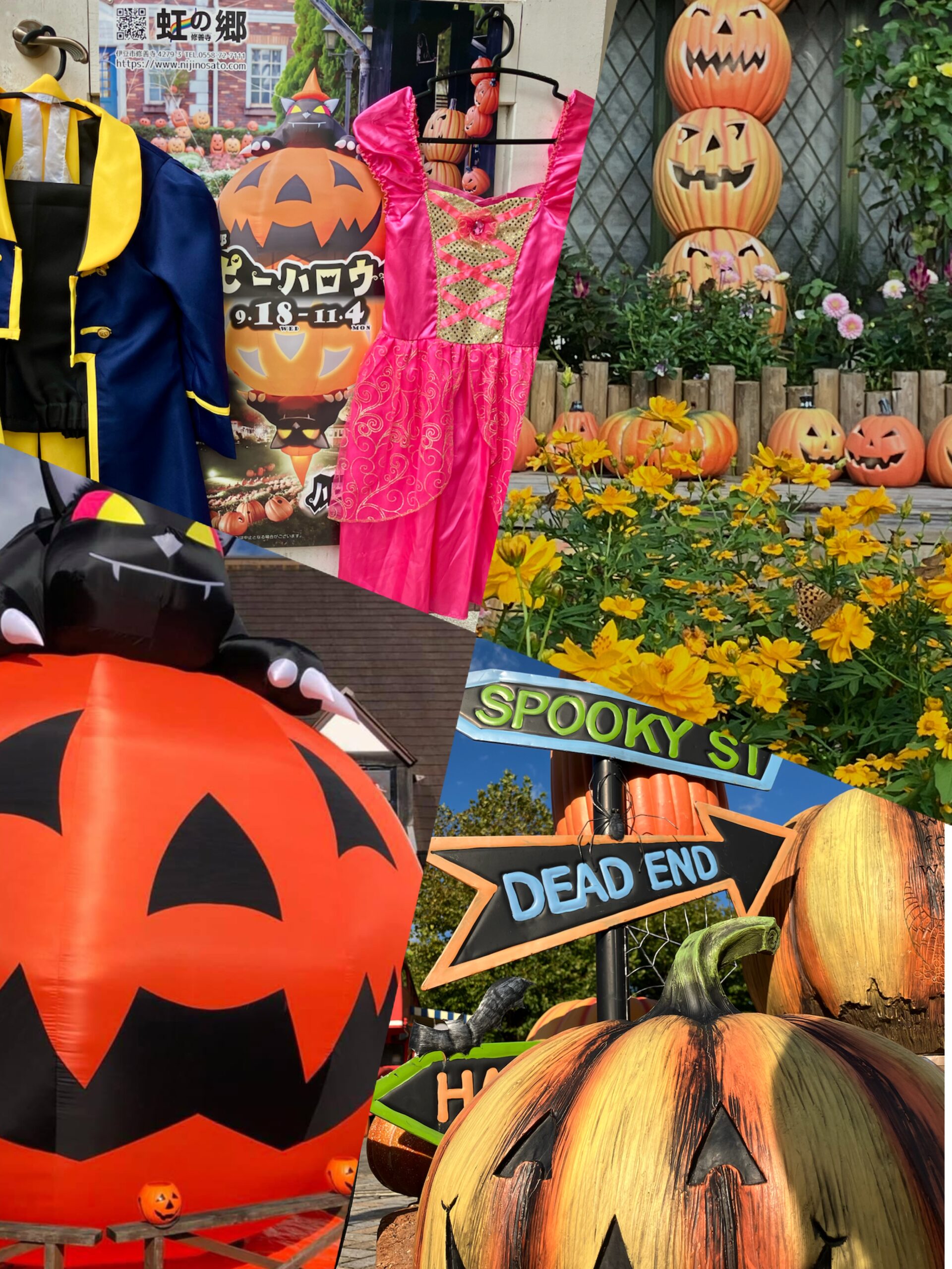 虹の郷ハッピーハロウィン開催中 - 修善寺 虹の郷（にじのさと）｜花と