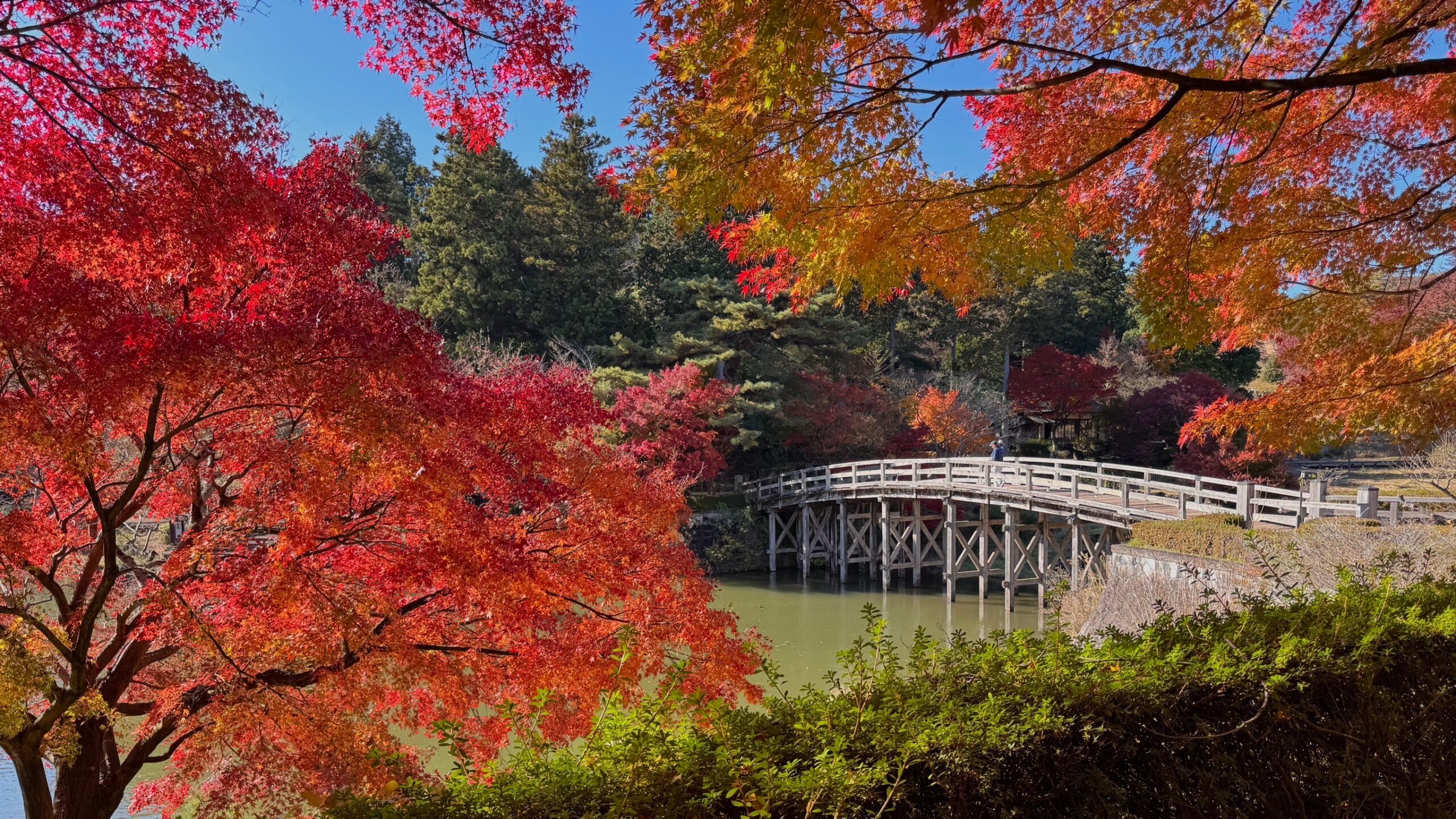 修善寺虹の郷 紅葉祭り2025